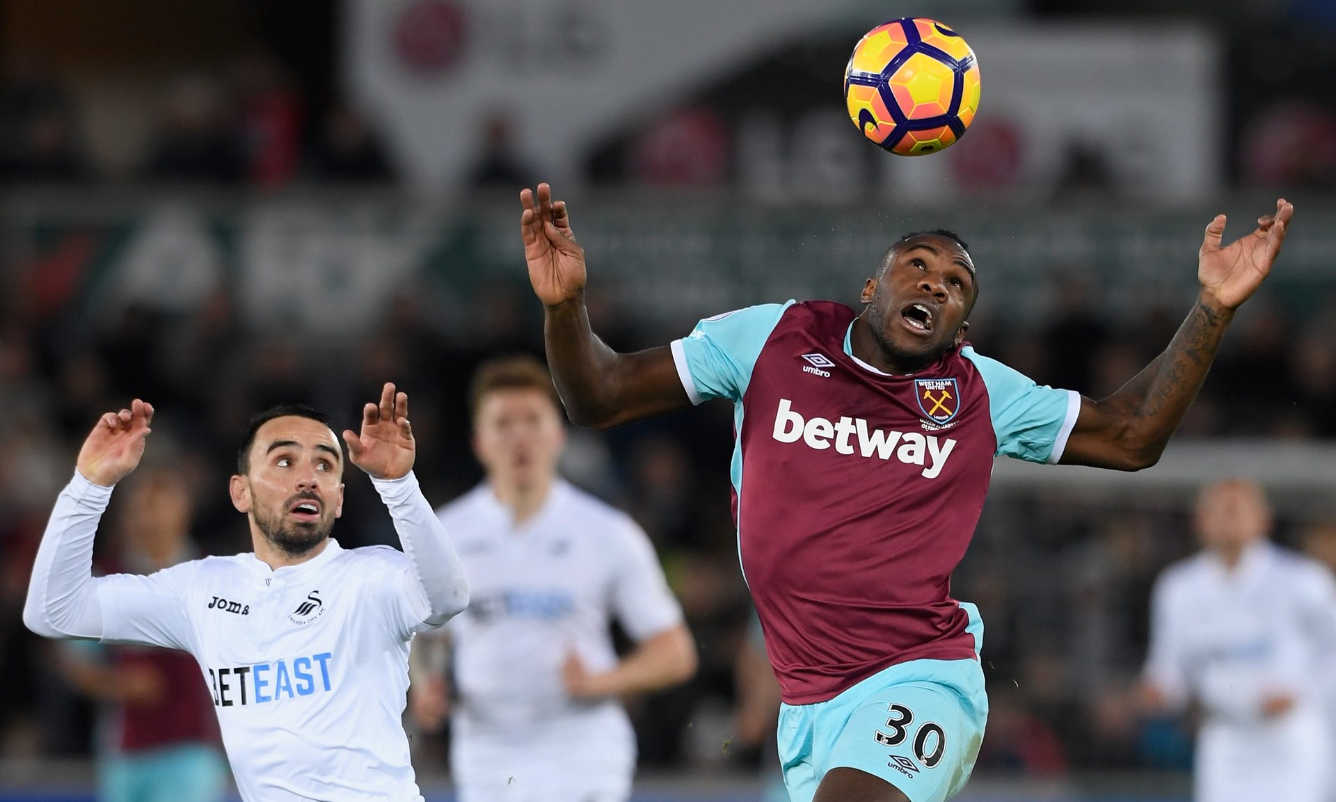 各自主客的 各自主客的